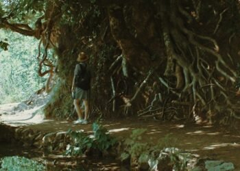 Maximiliano Camacho Jones