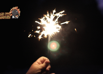 Firework Stores Chicago: How Visitors and Non-Local Buyers Navigate Fireworks Shopping